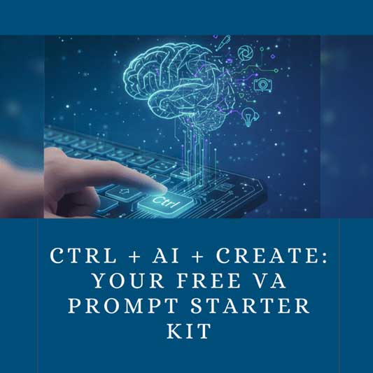 VA Prompt Starter Kit
